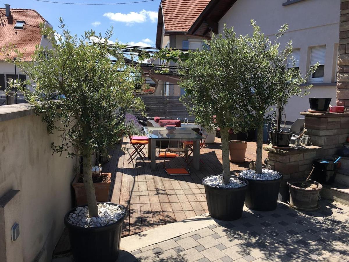 Le Pied A Terre Selestadien Selestat Ngoại thất bức ảnh
